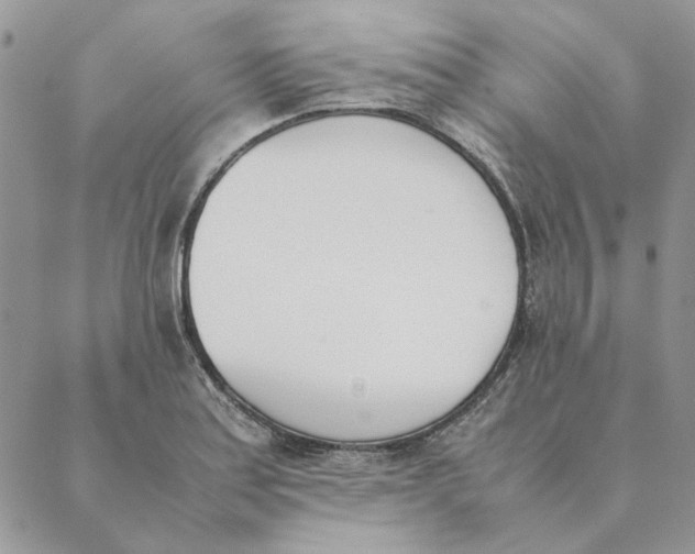 X0000089401179200707061221