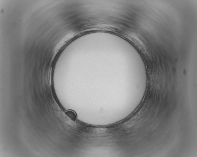 X0000089401180200707061221