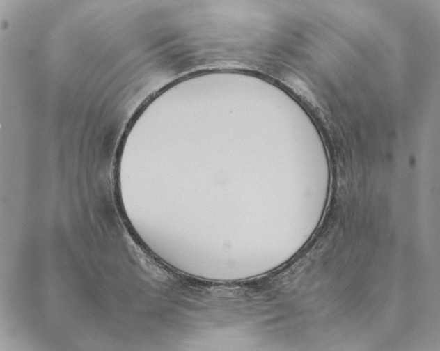 X0000089401181200707061221