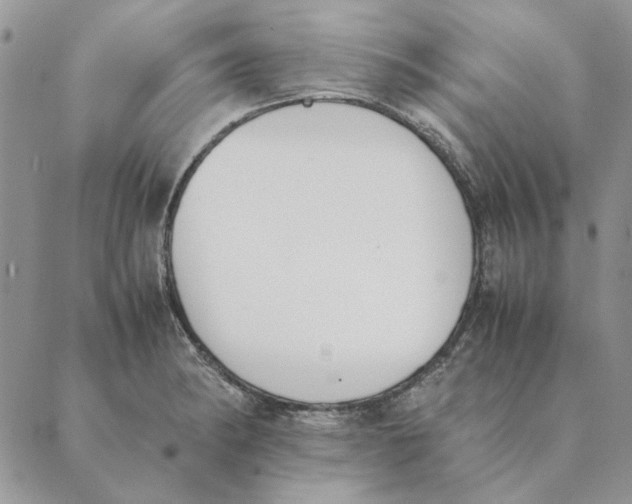 X0000089401182200707061221