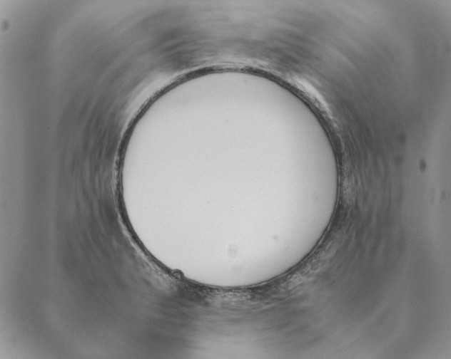 X0000089401183200707061221