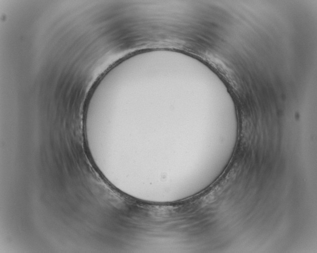 X0000089401184200707061221