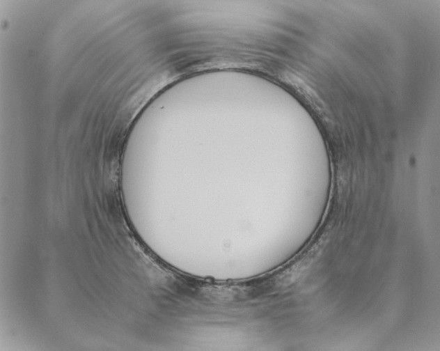 X0000089401185200707061221