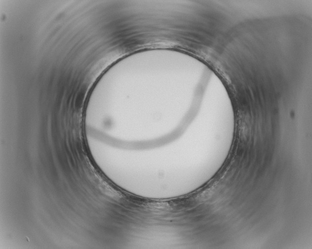 X0000089401186200707061221