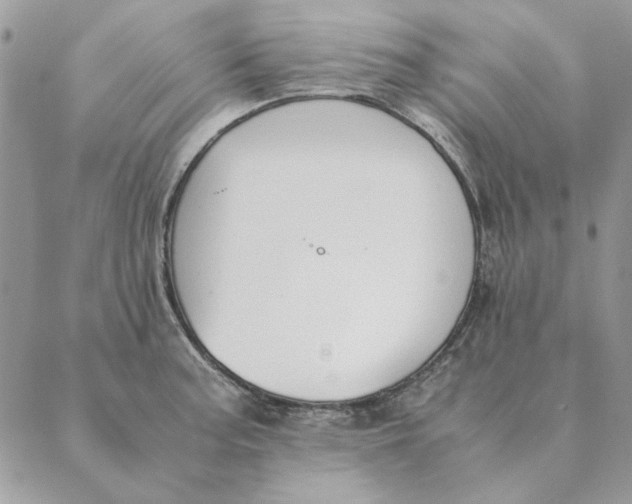 X0000089401187200707061221