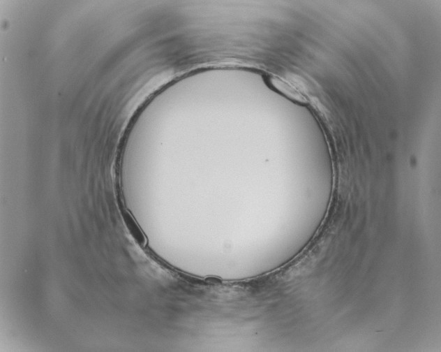 X0000089401189200707061221