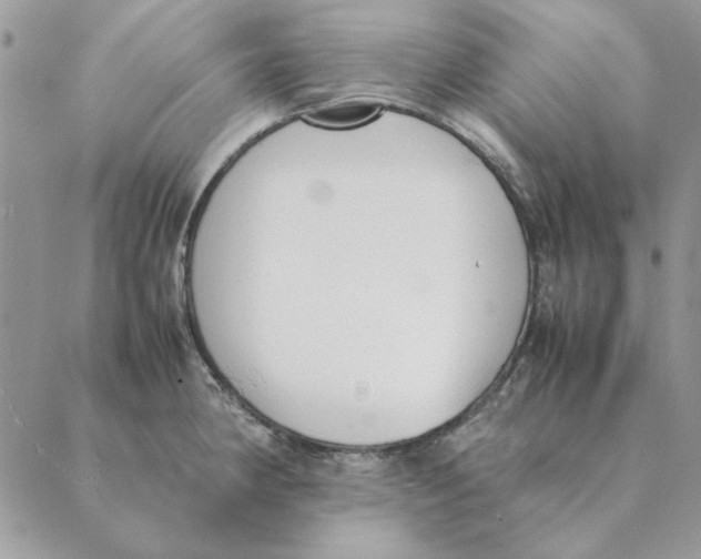 X0000089401190200707061221