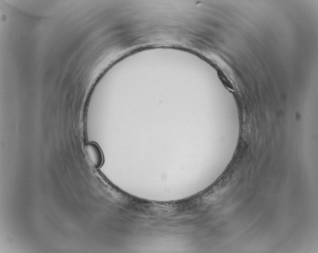 X0000089401191200707061221