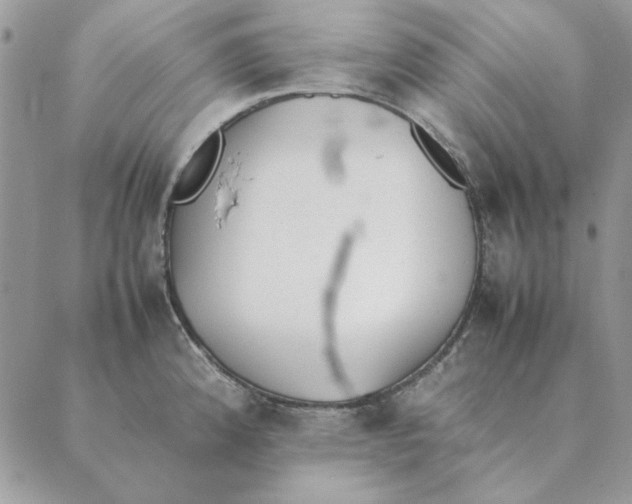 X0000089401192200707061221