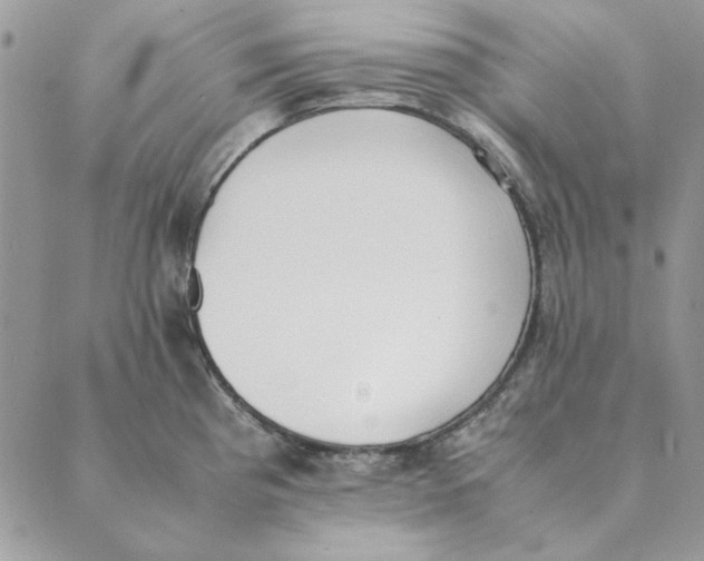 X0000089401193200707061221