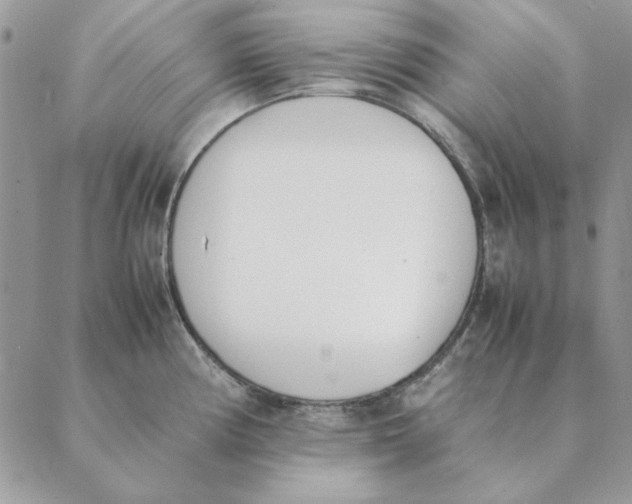 X0000089401194200707061221