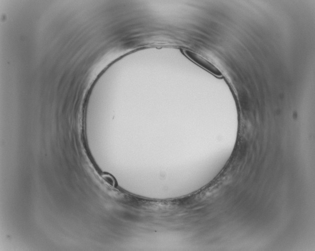 X0000089401195200707061221