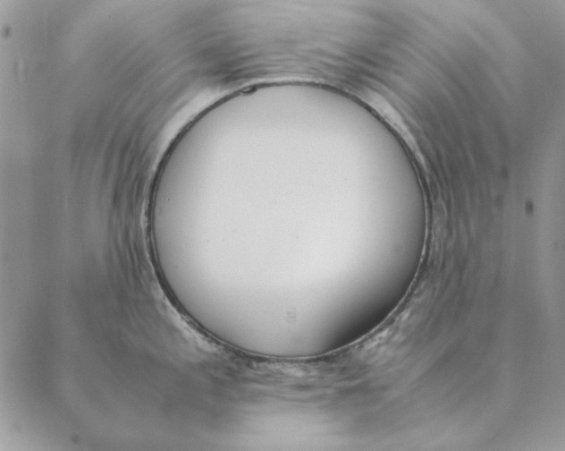 X0000089401197200707061221