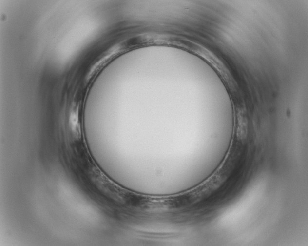 X0000089401198200707061221