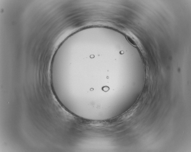 X0000089401199200707061221