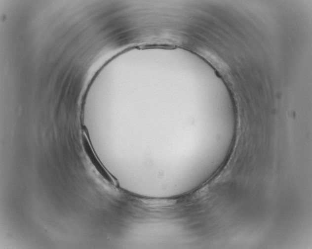 X0000089401200200707061221