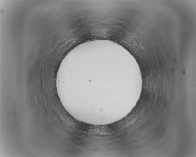 X0000089401201200707061220