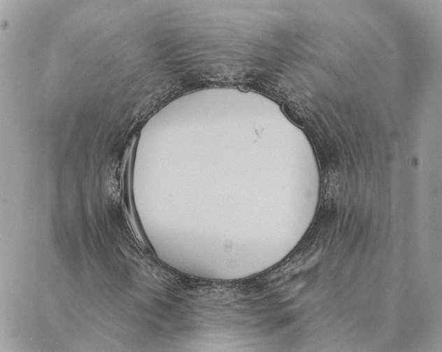 X0000089401202200707061220