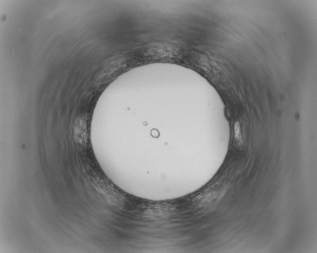 X0000089401203200707061220