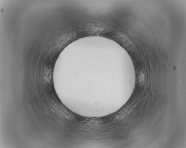 X0000089401204200707061220