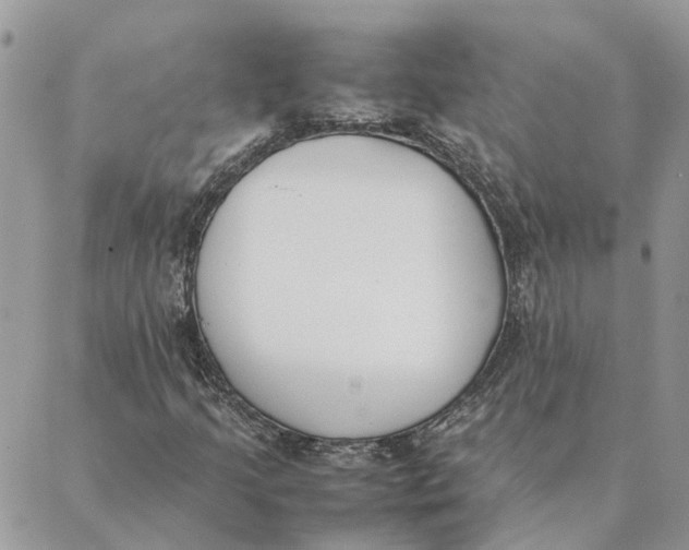 X0000089401205200707061220