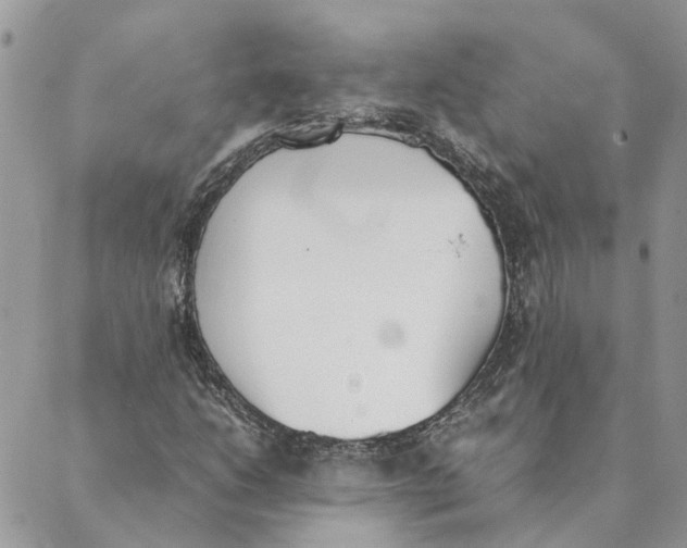 X0000089401206200707061220