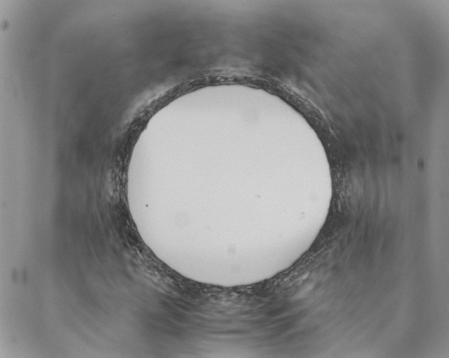 X0000089401207200707061220