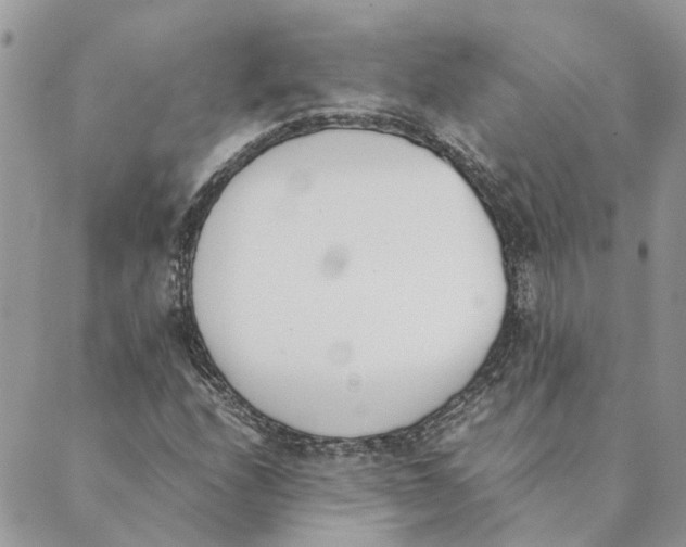 X0000089401208200707061220