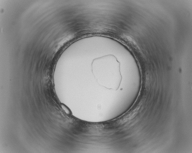 X0000089401210200707061220