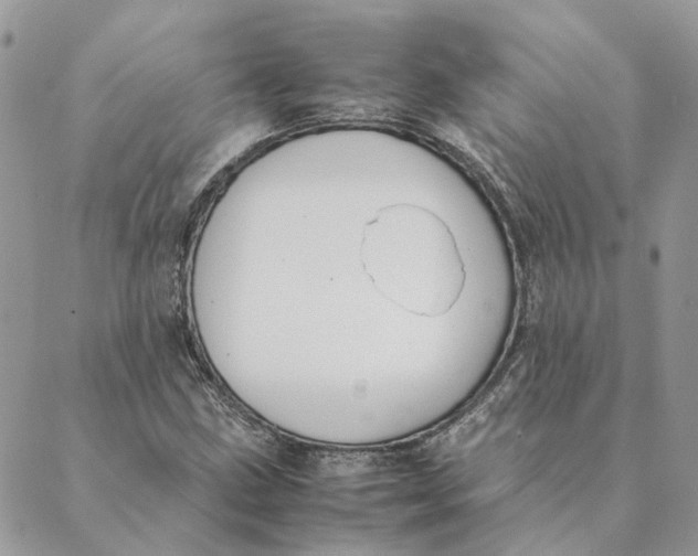 X0000089401211200707061220