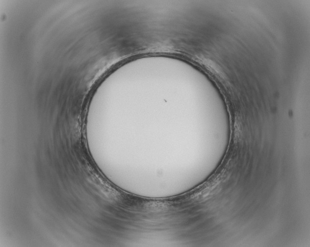 X0000089401212200707061220