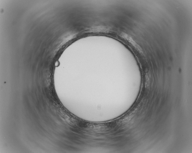 X0000089401213200707061220