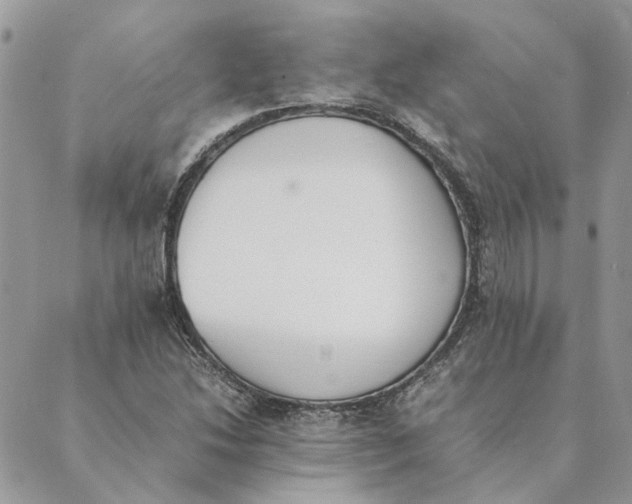 X0000089401214200707061220