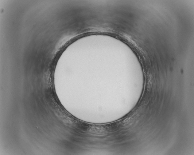 X0000089401215200707061220