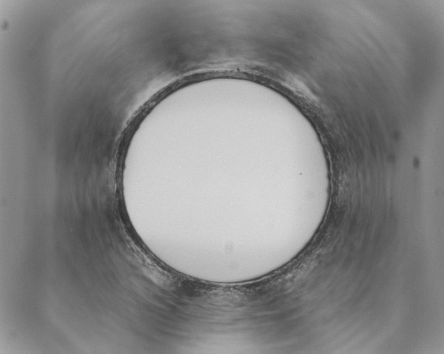 X0000089401216200707061220