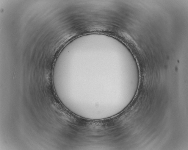 X0000089401217200707061220