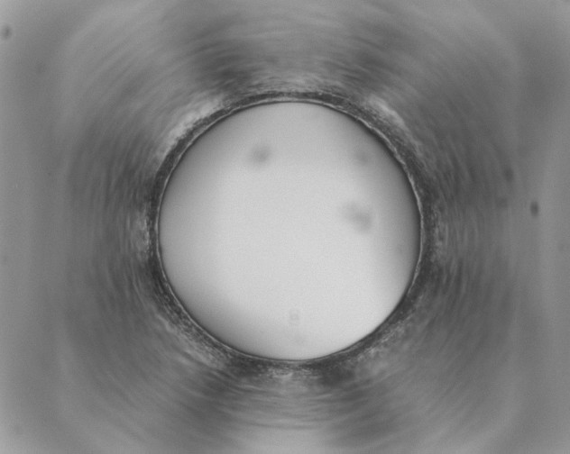 X0000089401218200707061220