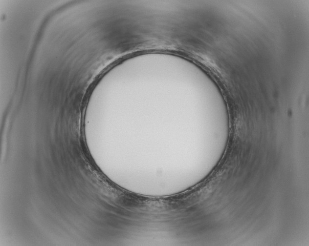 X0000089401220200707061220