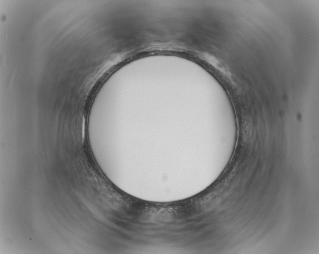 X0000089401221200707061220