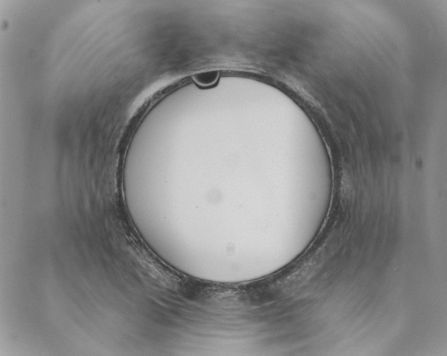 X0000089401222200707061220