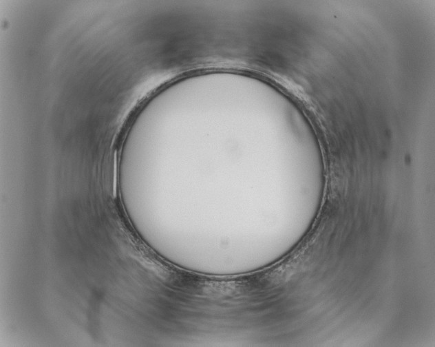 X0000089401223200707061220