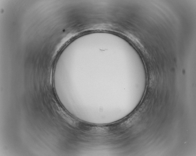 X0000089401224200707061220