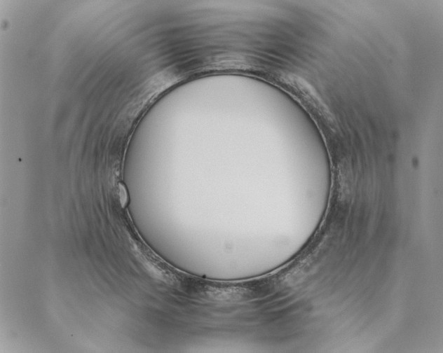 X0000089401225200707061220