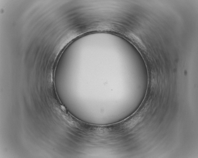 X0000089401226200707061220