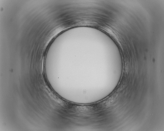 X0000089401227200707061220