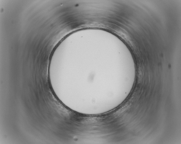 X0000089401228200707061220