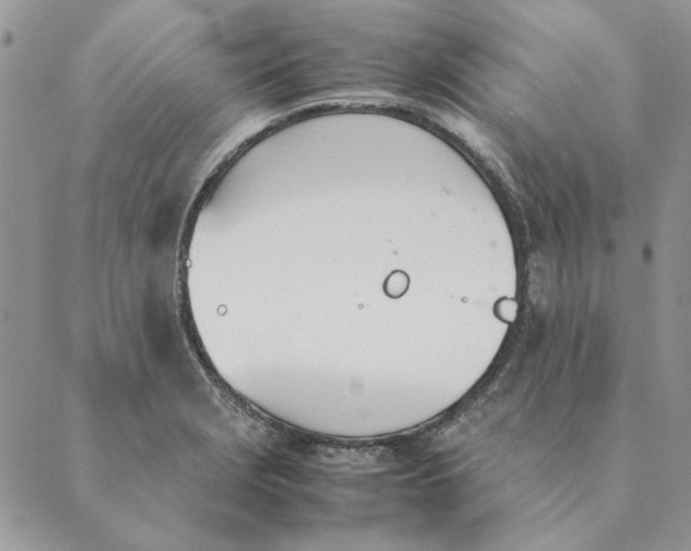 X0000089401229200707061220