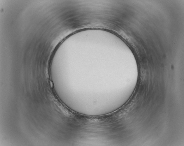 X0000089401230200707061220