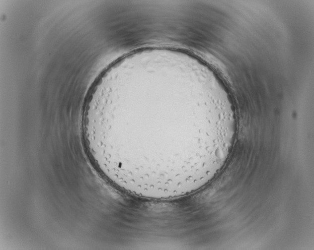 X0000089401231200707061220