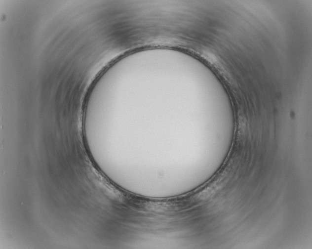 X0000089401232200707061220